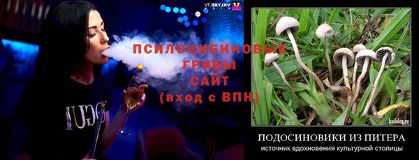 прущие грибы Алексин