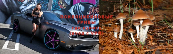 спайс Алексеевка