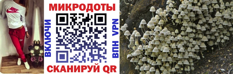 Галлюциногенные грибы мухоморы  гидра ТОР  Бикин 
